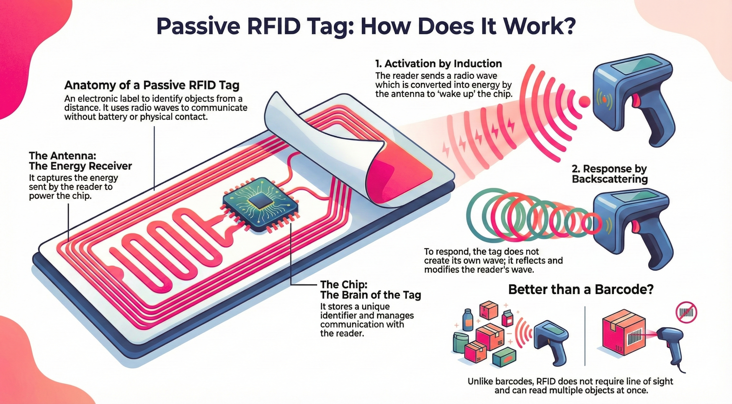 Gemini_Generated_Image_kccxelkccxelkccx (1)